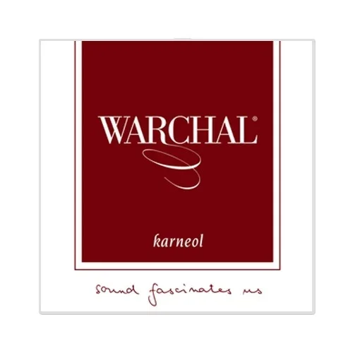 Warchal Karneol viola set