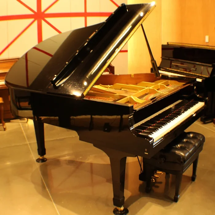 Yamaha C3 Conservatory Grand Piano | 6’1″ Polished Ebony