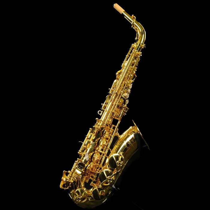 Yanagisawa AWO10 Elite Alto Saxophone – Professional Series