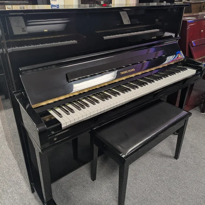 Young Chang Pramberger Edition PE-121 (48″)