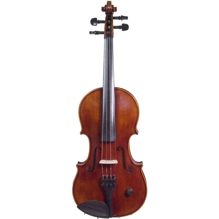 ZETA EV04 Acoustic Pro 4-string acoustic-electric violin