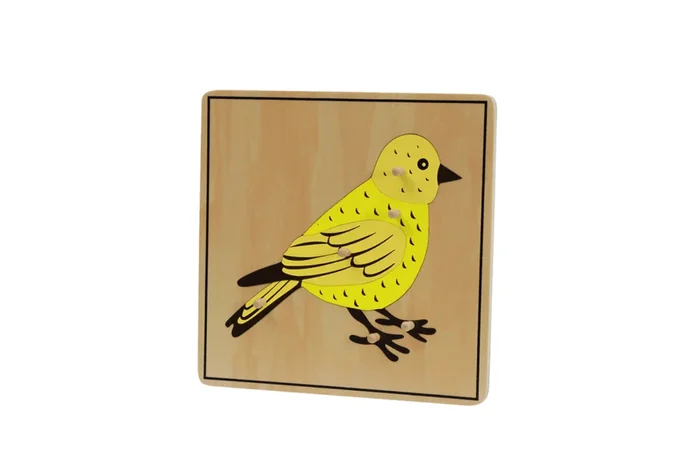 Zoology Puzzle – Parts of the Bird