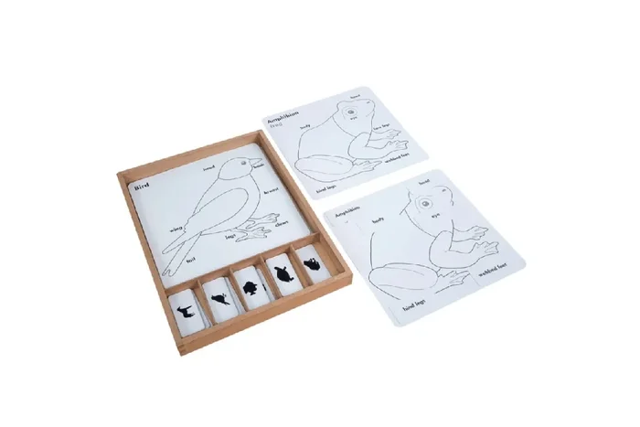 Zoology Puzzle Activity Set (Control Cards & Name Cards)